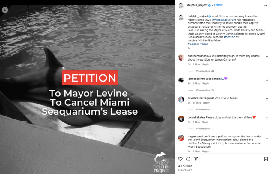 Animal welfare activism petition Miami Seaquarium Instagram post cetaceans dolphins