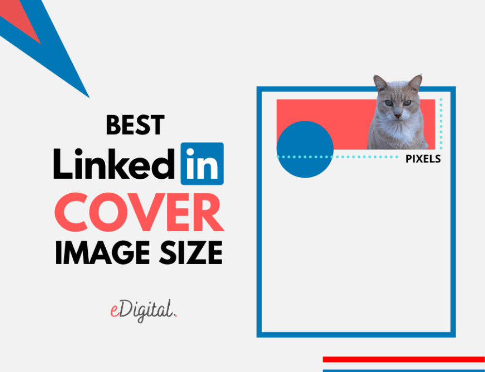 THE BEST 11 LINKEDIN PROFILE PHOTO IDEAS & STYLES IN 2025 - eDigital Agency