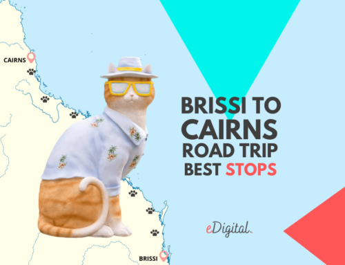 DRIVING BRISBANE TO CAIRNS ROAD TRIP – TOP 15 BEST STOPS – PLACES TO VISIT IN 2024