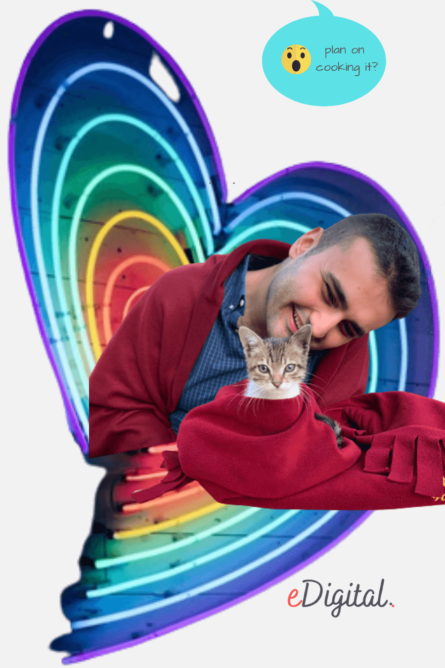 Burak Özdemir popular Turkish chef restauranteur TikTok cute cat heart