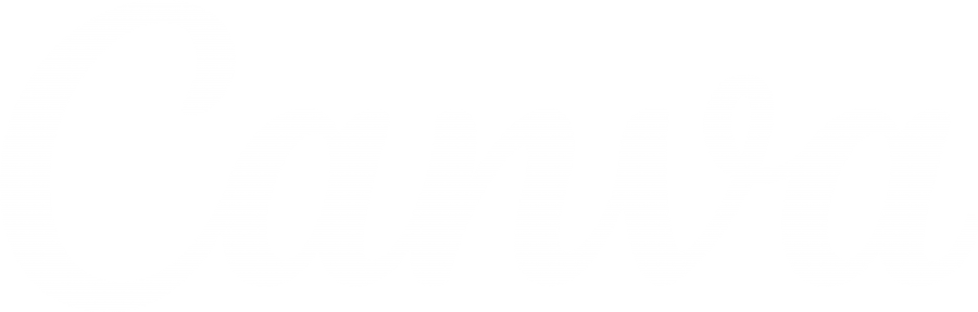 Canva wordmark logo white font png