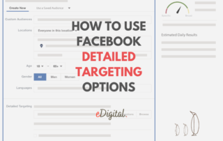 How to use Facebook detailed targeting options ads