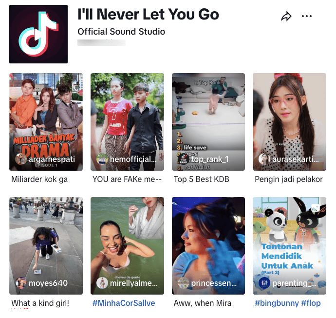 I will never let you go a popular song on TikTok