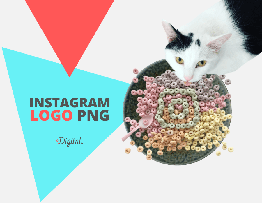 The New Instagram Logo Png 21