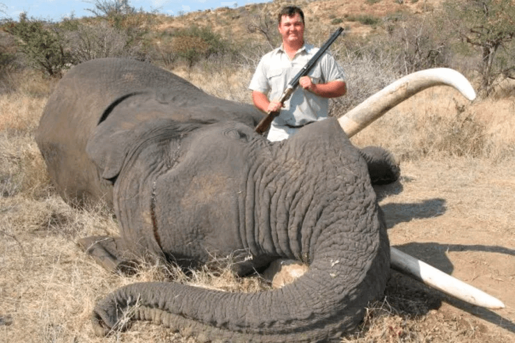 Jewell Crossberg's Facebook page photo posing with dead looking elephant