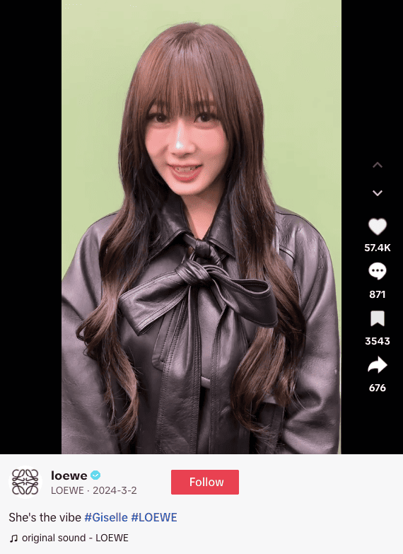 Loewe a popular luxury high fashion brand on TikTok