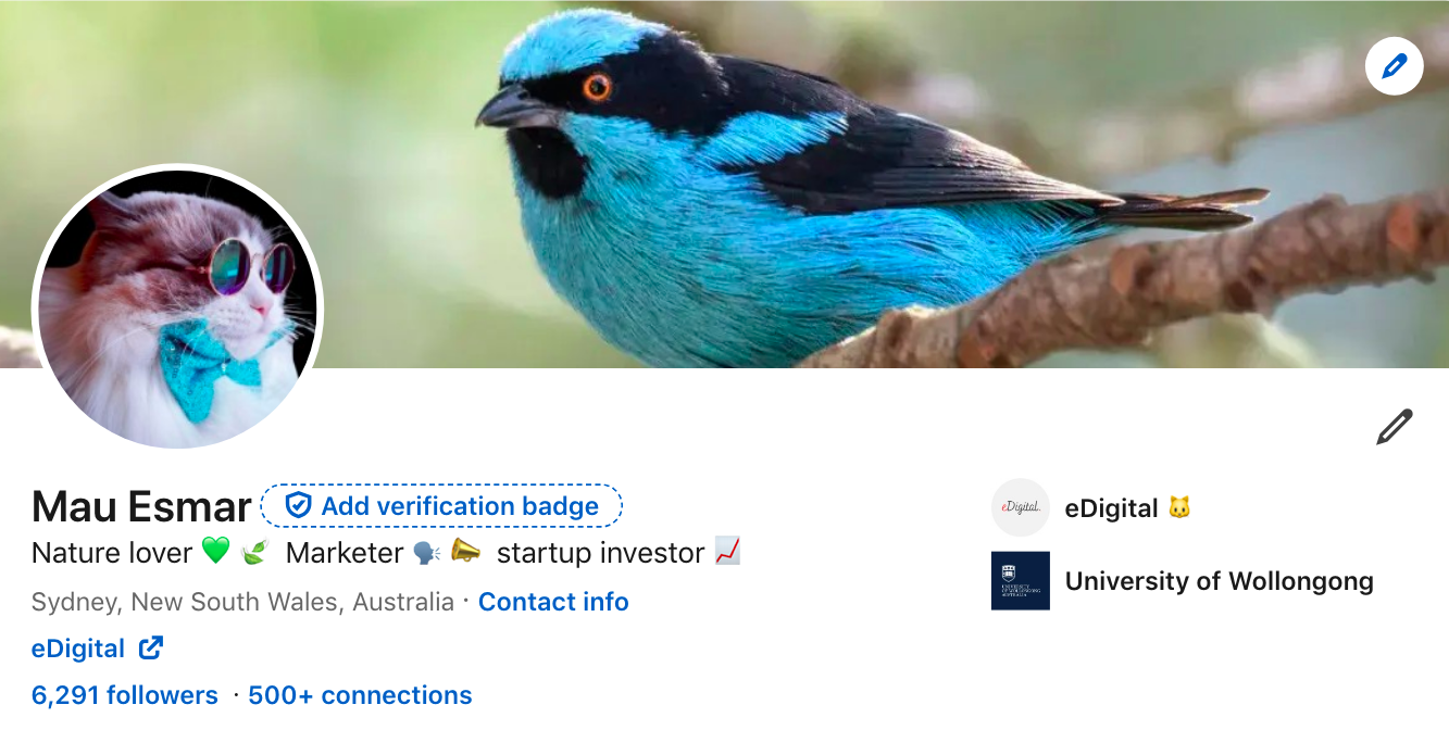 Mau Esmar creative LinkedIn profile cover image idea nature bird cat