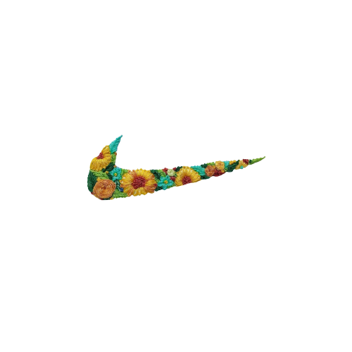 THE NEW NIKE LOGO PNG 2024 eDigital Agency