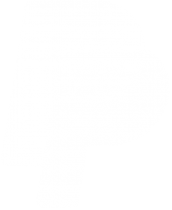 PayPal icon white png vertical