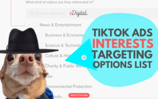 TikToK Advertising Interest Targeting Options List