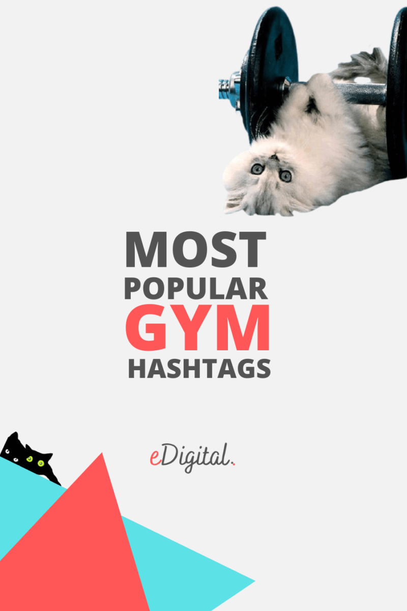 THE TOP 25 GYM HASHTAGS ON INSTAGRAM IN 2024 eDigital Agency