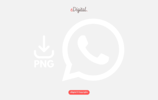 WhatsApp icon PNG white