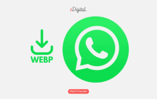 WhatsApp logo green webp