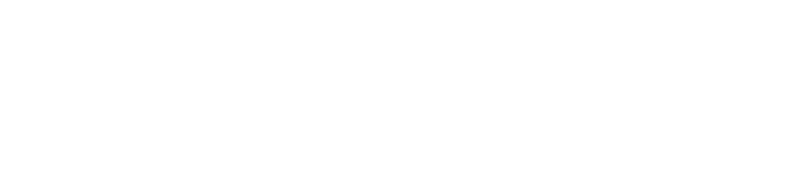 Woolworths logo white horizontal png large size