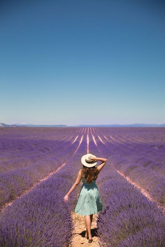 behind angle back perspective creative photography idea example lavender festival provence france woman dress sombrero hat