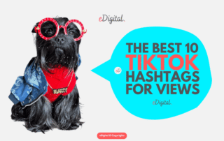 best 10 TikTok hashtags for views