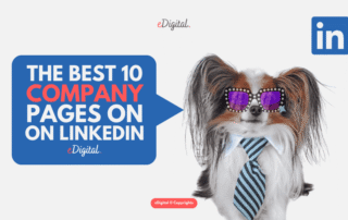 best 10 company pages on LinkedIn