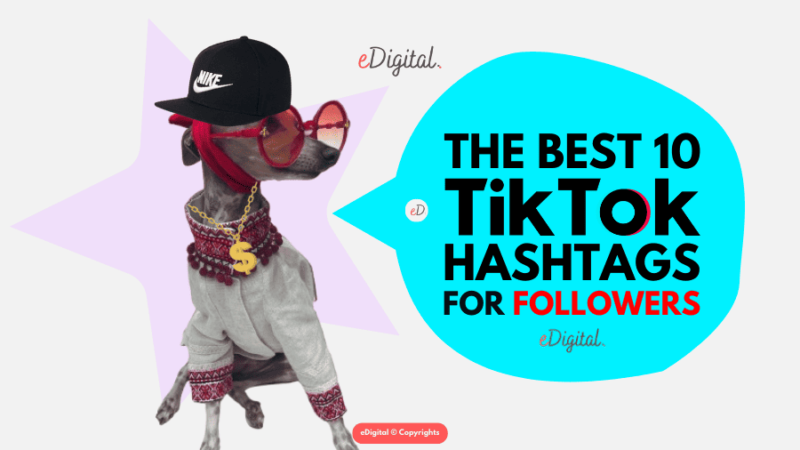 THE BEST 10 TIKTOK HASHTAGS FOR FOLLOWERS IN 2026 - eDigital Agency