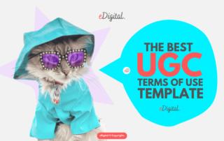 best UGC terms of use template