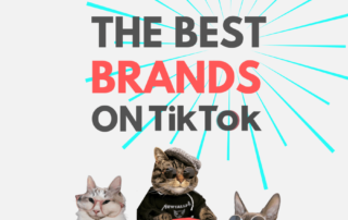 best brands on TikTok