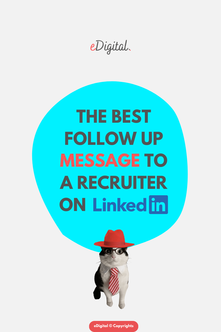 best follow up message to recruiter Linkedin after applying for a job