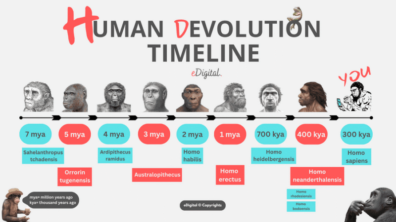 THE BEST HUMAN EVOLUTION TIMELINE - eDigital Agency