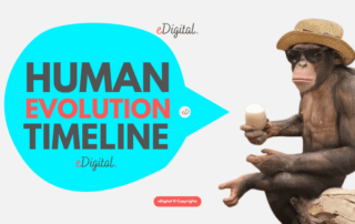 best human evolution timeline template