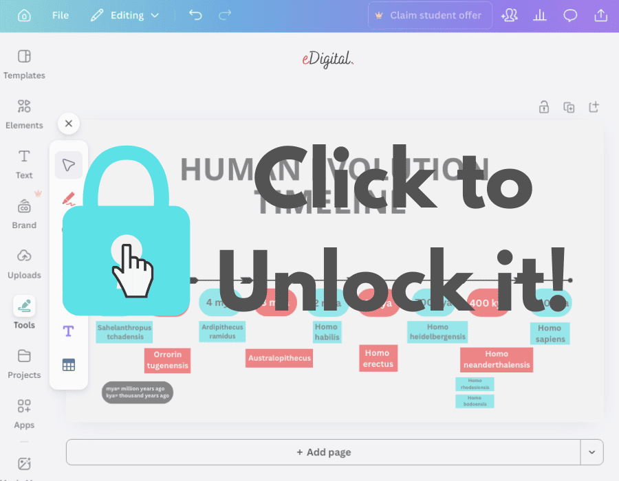 best human evolution timeline template no images on Canva