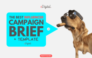 best influencer campaign brief template