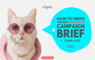 best influencer campaign brief template
