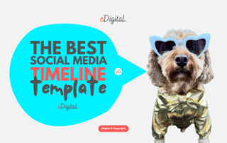 best social media timeline template