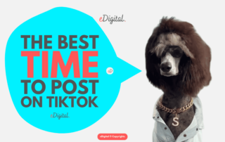 best time to post on TikTok