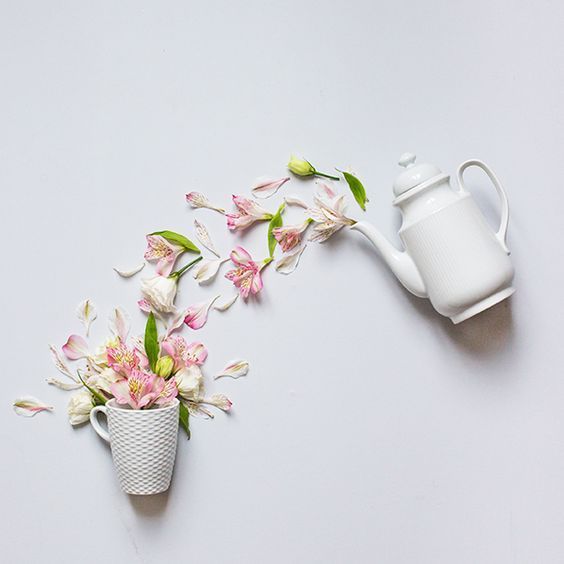 creative flatlay photography example jar cup flowers