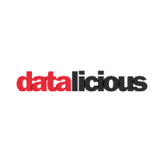 datalicious logo