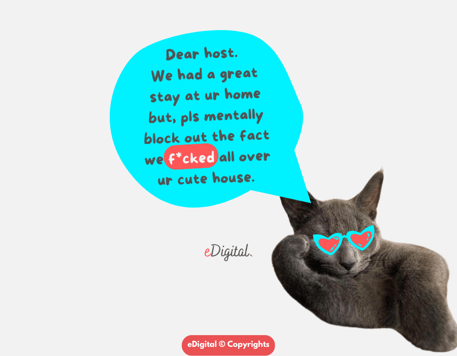 funny Airbnb review guest host cat