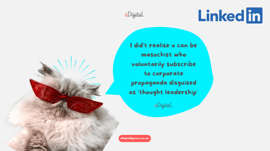 funny masochist who follow companies on LinkedIn