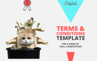 game of skill competition terms and conditions template