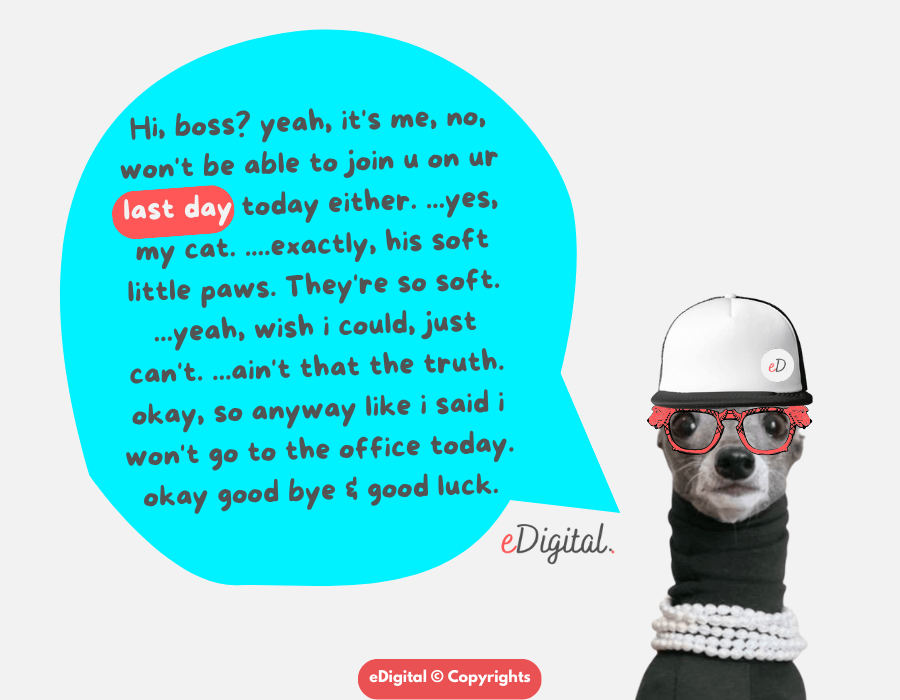 The funniest goodbye message to boss - dog - cat