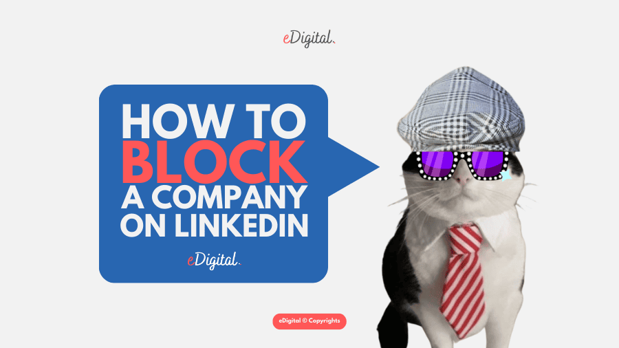 how to block a company on LinkedIn