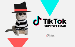 how to contact TikTok support customer service email