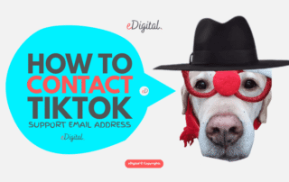 how to contact TikTok support email address customer service