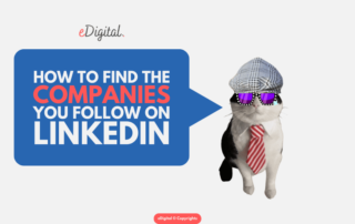 how to find the companies you follow on Linkedin