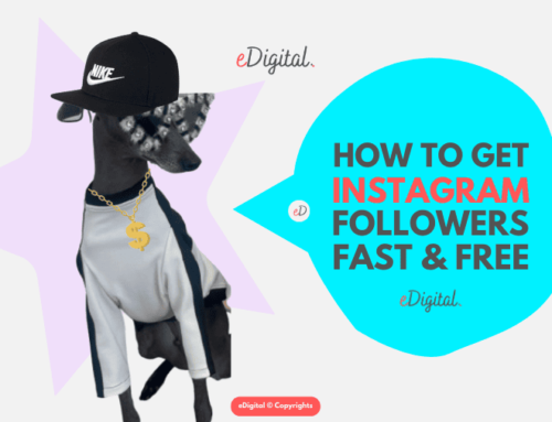 HOW TO GET INSTAGRAM FOLLOWERS FAST AND FREE IN 2025