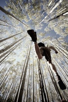 low angle creative photography perspective running jump trees