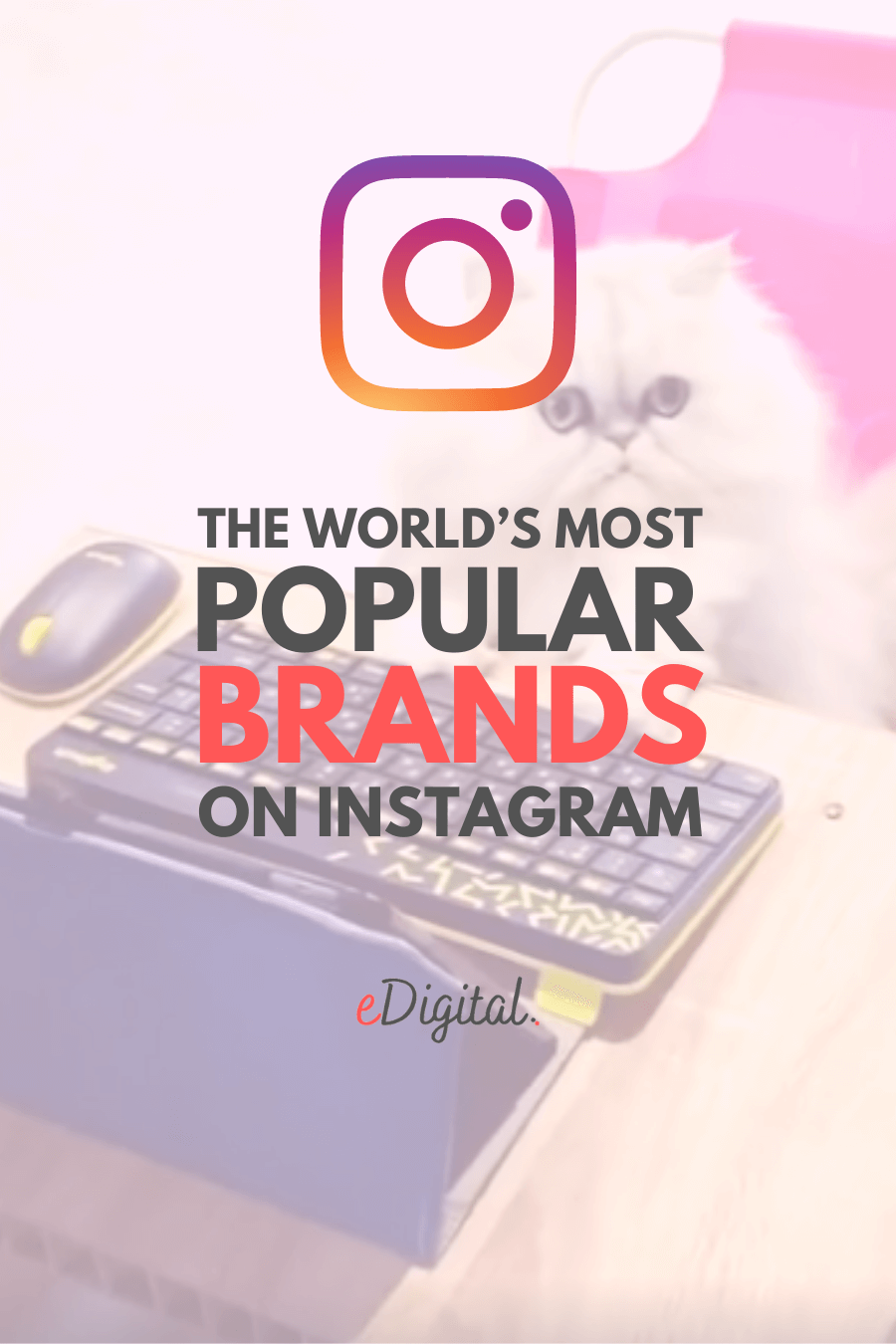 most popular followed brands instagram