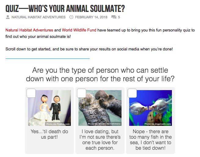 natural habitat adventures world wildlife fun quiz valentines day