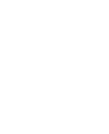 new Apple icon white png small size
