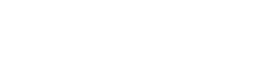 new Chevrolet icon white PNG large size