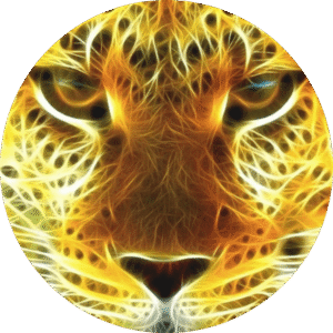 new Gold-Tiger Music logo png large size