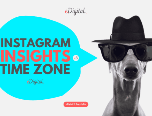 WHAT TIME ZONE DOES INSTAGRAM INSIGHTS USE IN 2026?